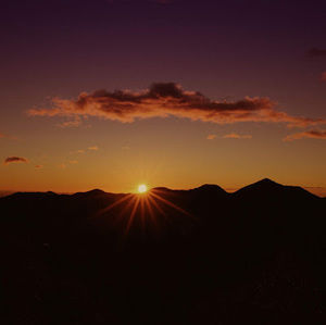 Meet your Posher, Kurtis